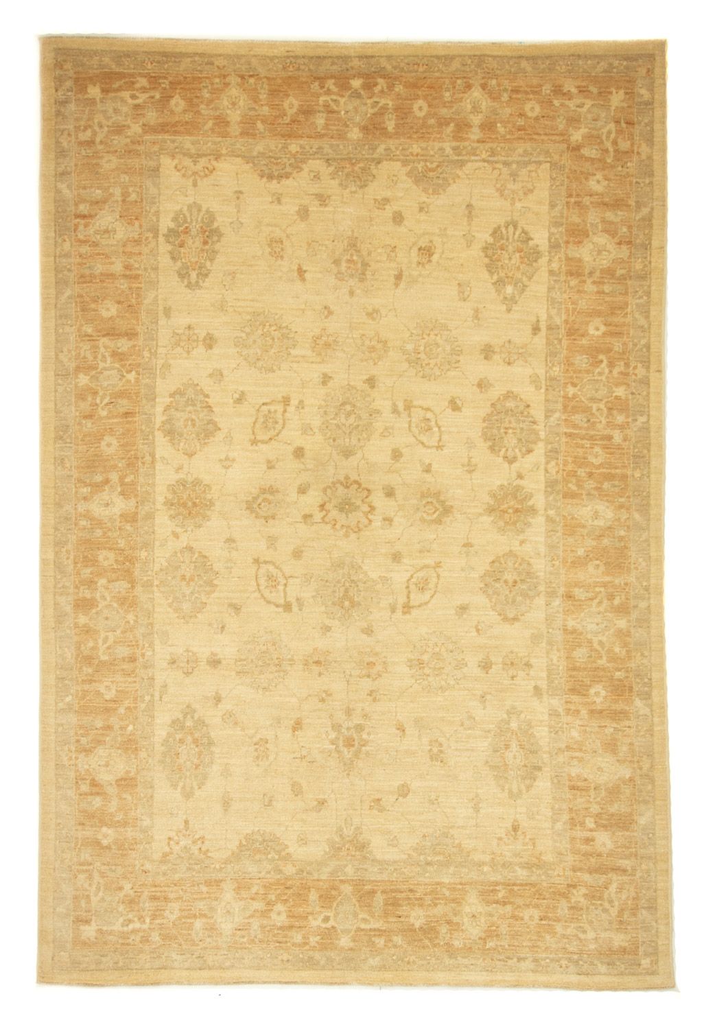 Ziegler Teppich 246 x 169 cm