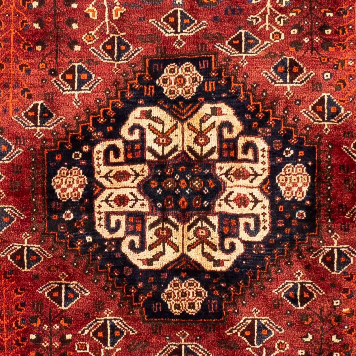 Perserteppich - Nomadic 258 x 163 cm