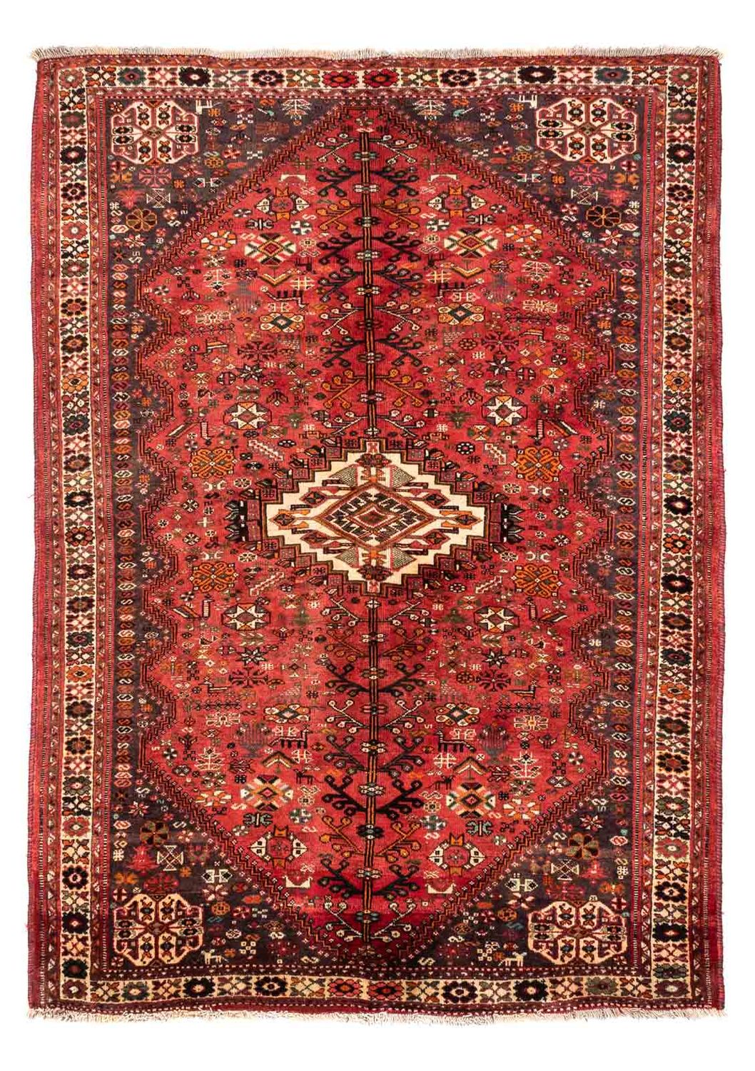 Perserteppich - Nomadic 243 x 174 cm