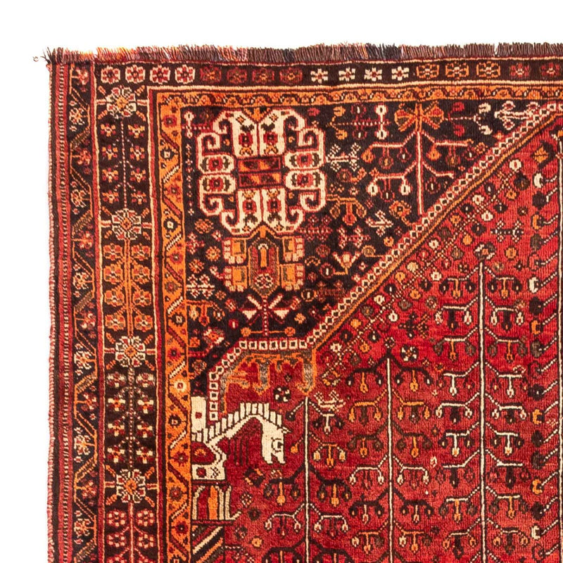 Perserteppich - Nomadic 240 x 158 cm
