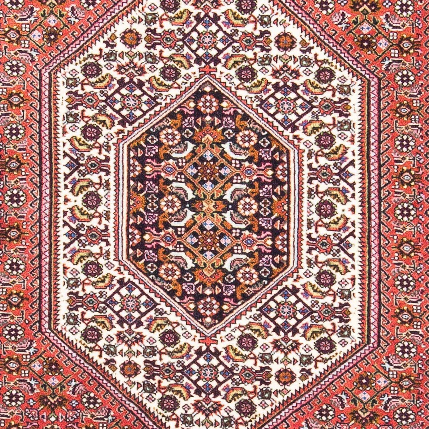 Perserteppich - Bidjar - Royal 161 x 90 cm