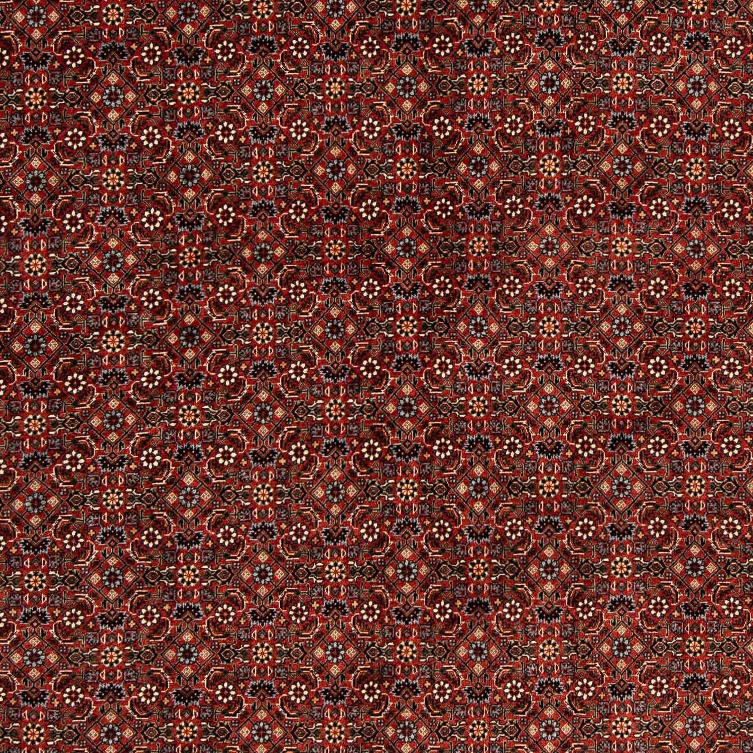 Perserteppich - Bidjar 203 x 197 cm