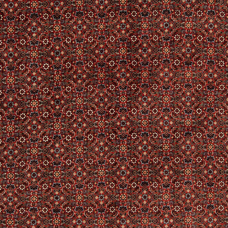 Perserteppich - Bidjar 203 x 197 cm