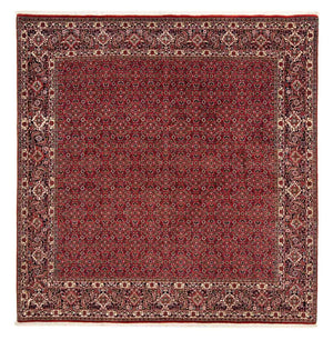 Perserteppich - Bidjar 205 x 205 cm