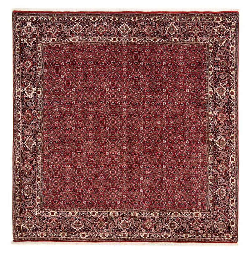 Perserteppich - Bidjar 205 x 205 cm