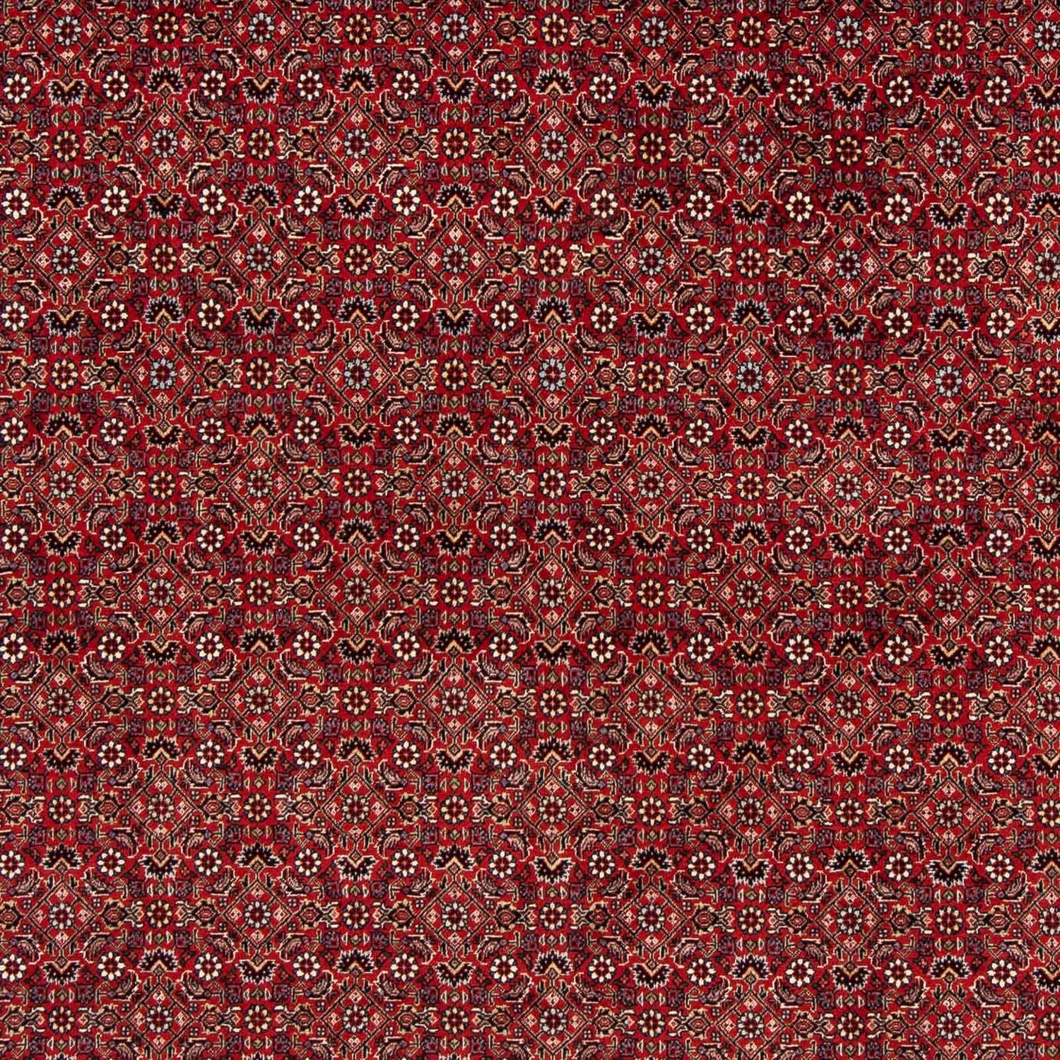 Perserteppich - Bidjar 205 x 205 cm