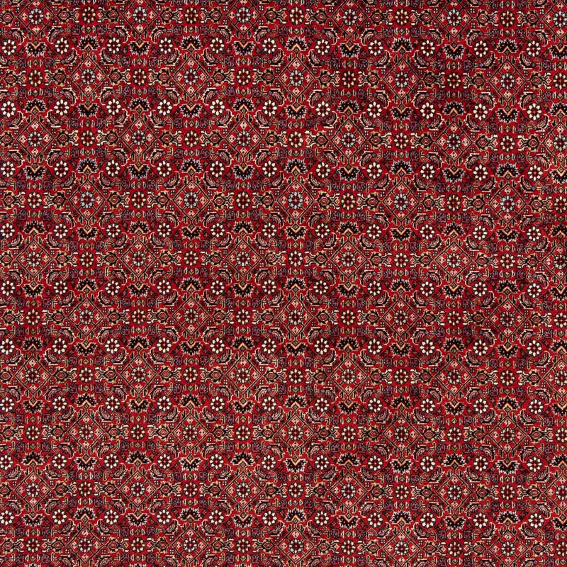 Perserteppich - Bidjar 205 x 205 cm