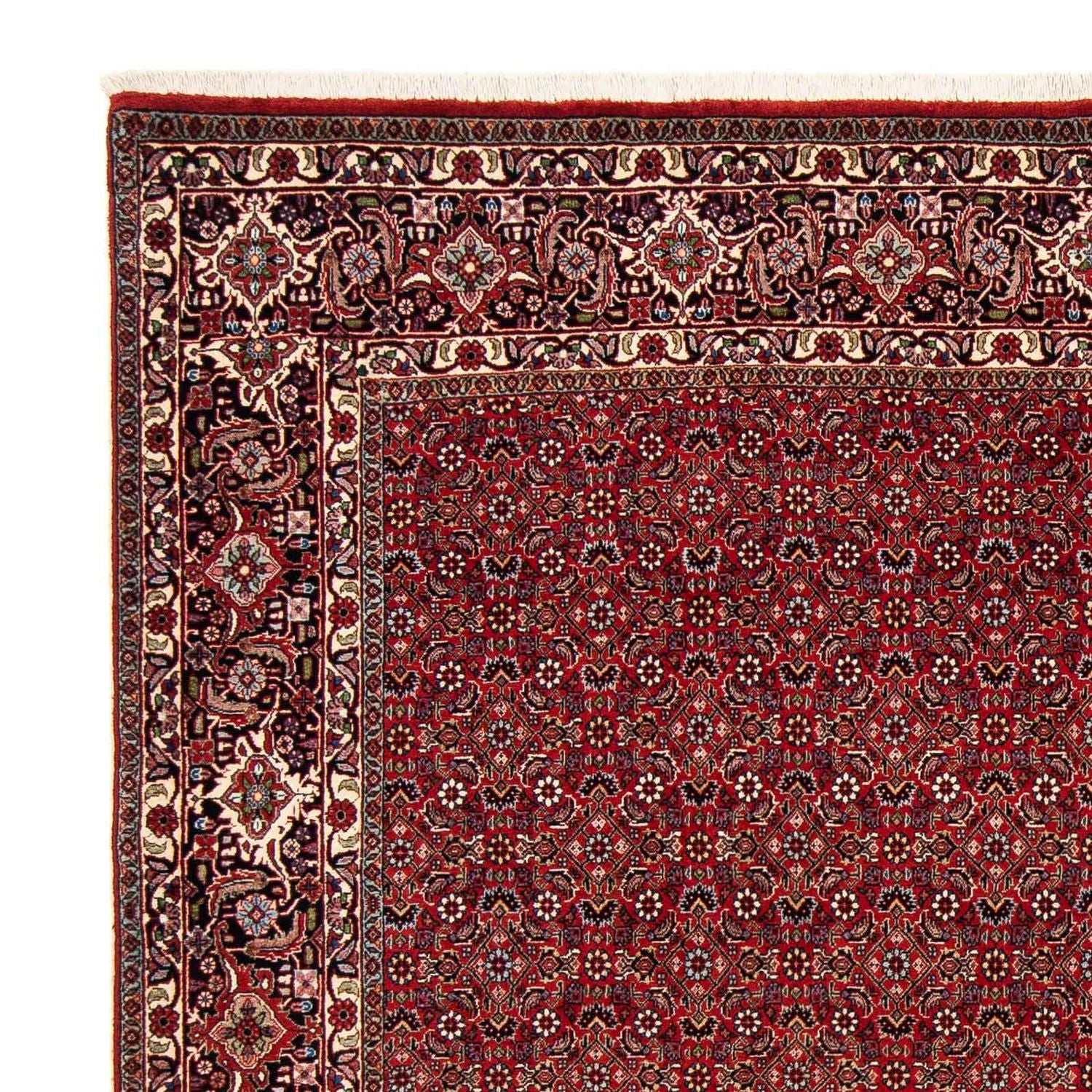 Perserteppich - Bidjar 205 x 205 cm