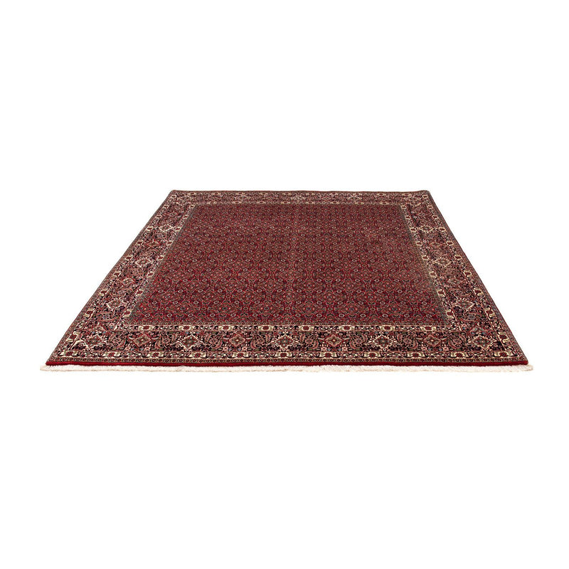 Perserteppich - Bidjar 205 x 205 cm