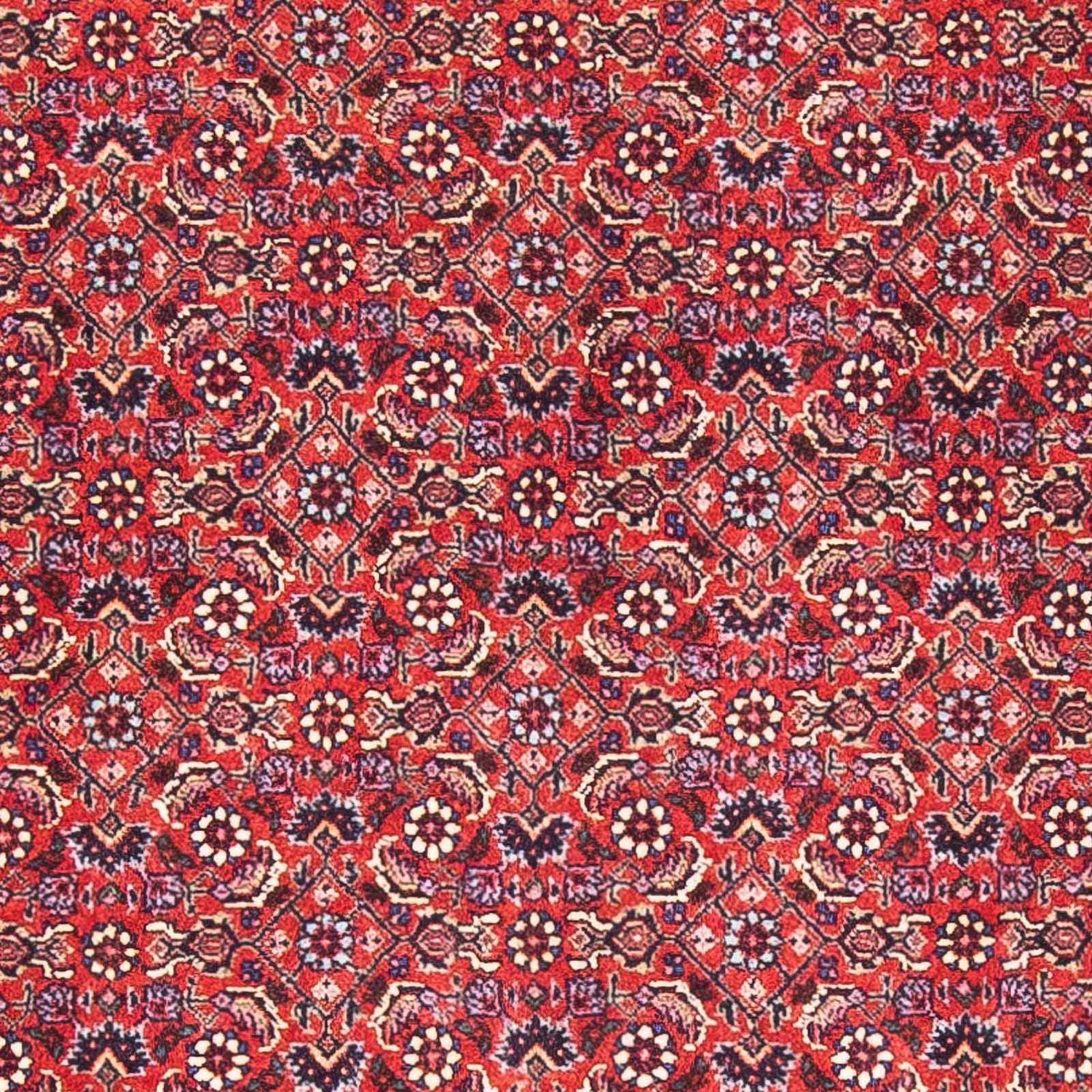 Perserteppich - Bidjar - Royal 170 x 88 cm