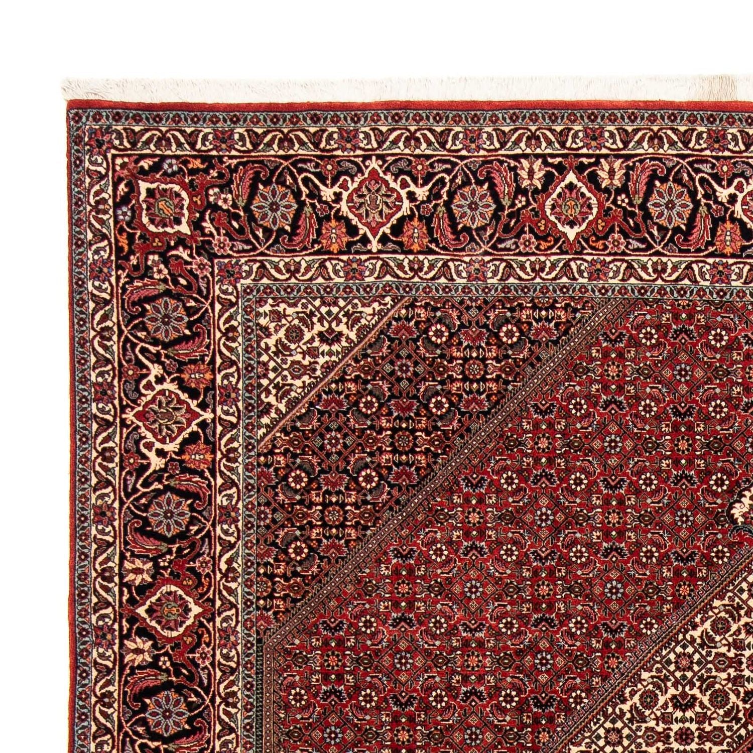 Perserteppich - Bidjar 253 x 202 cm