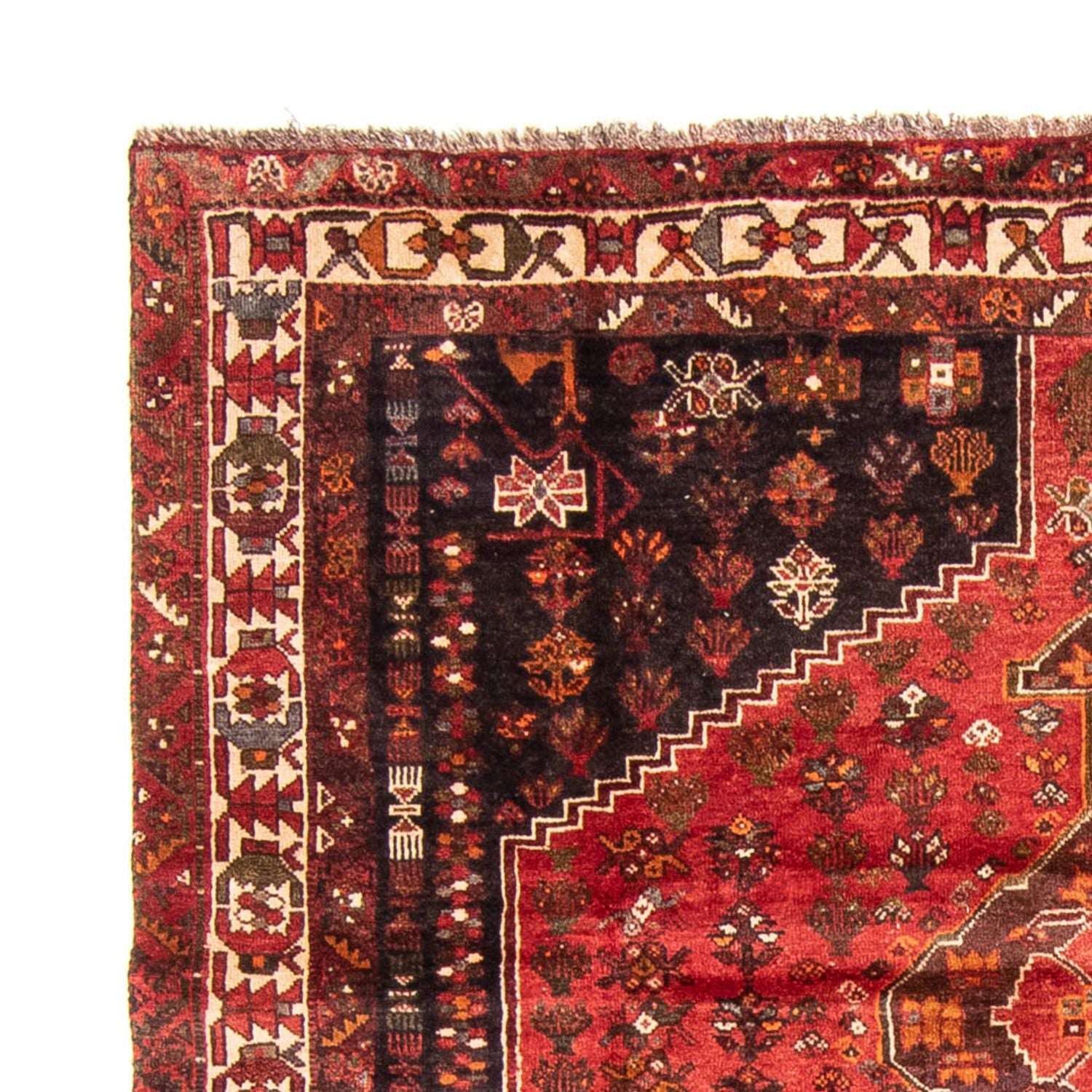 Perserteppich - Nomadic 310 x 225 cm