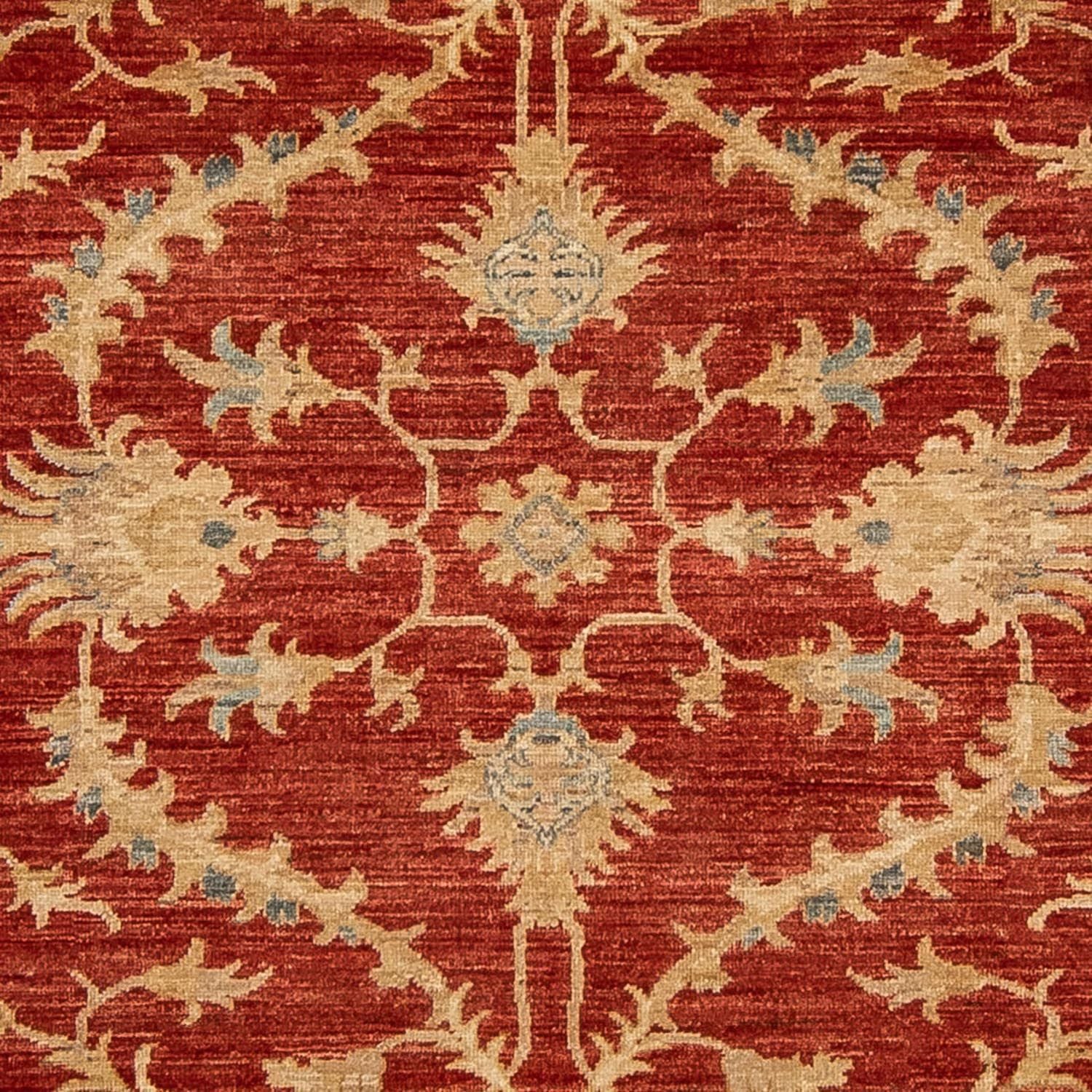 Ziegler Teppich 285 x 203 cm