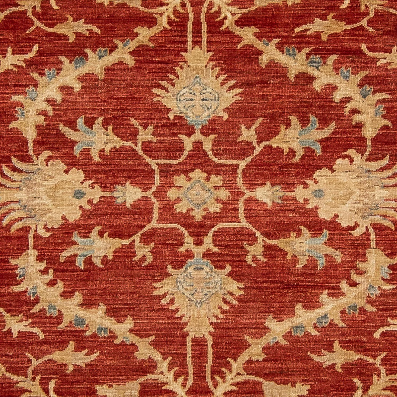 Ziegler Teppich 285 x 203 cm