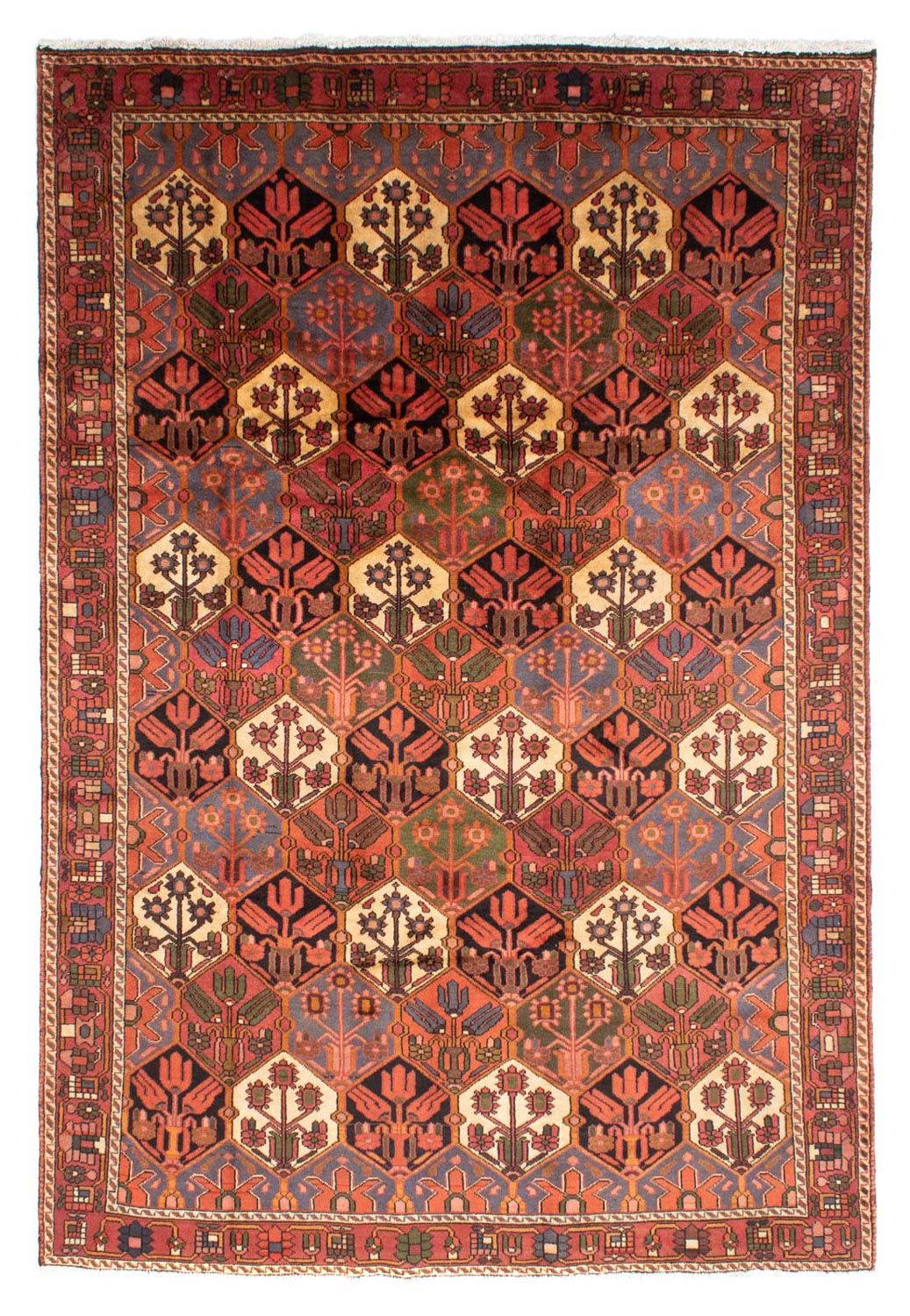 Perserteppich - Nomadic 297 x 205 cm
