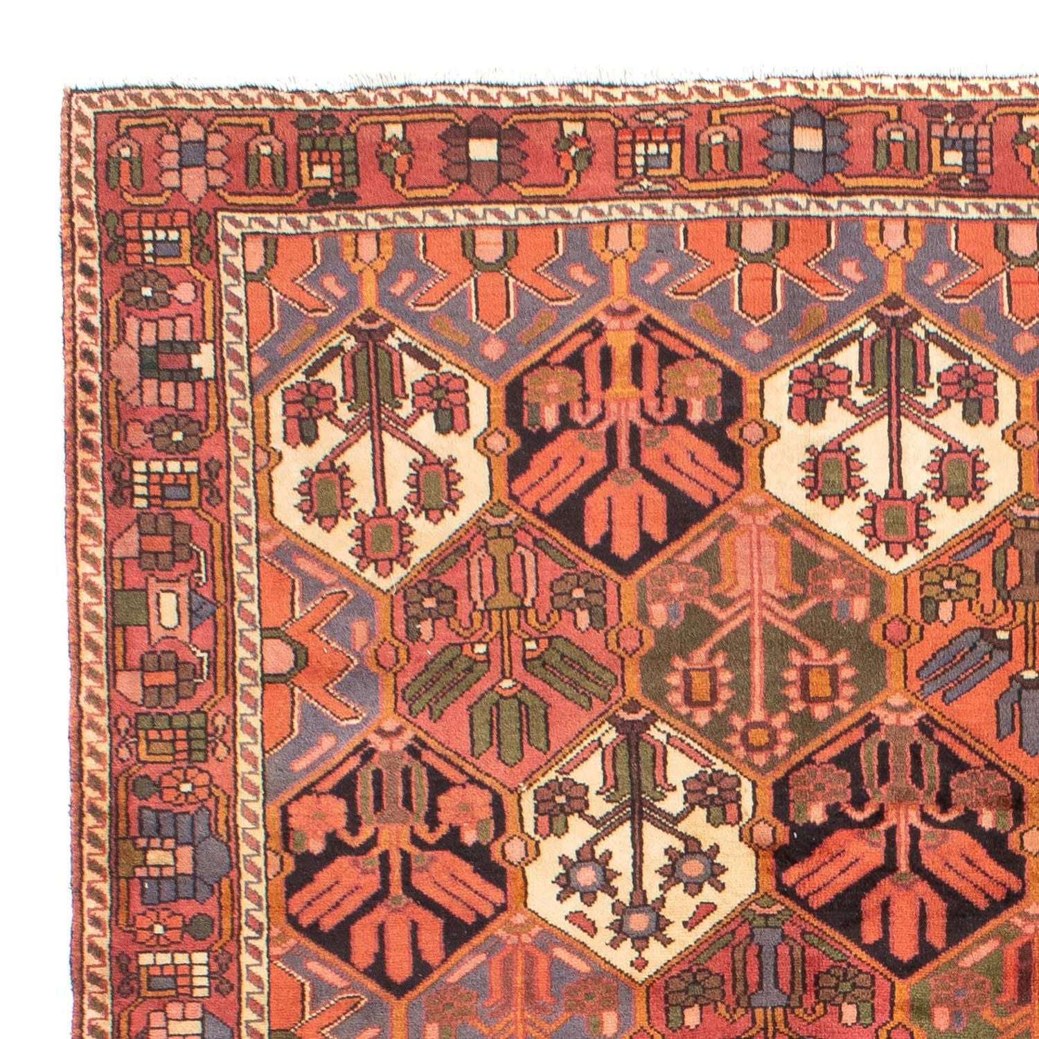 Perserteppich - Nomadic 297 x 205 cm