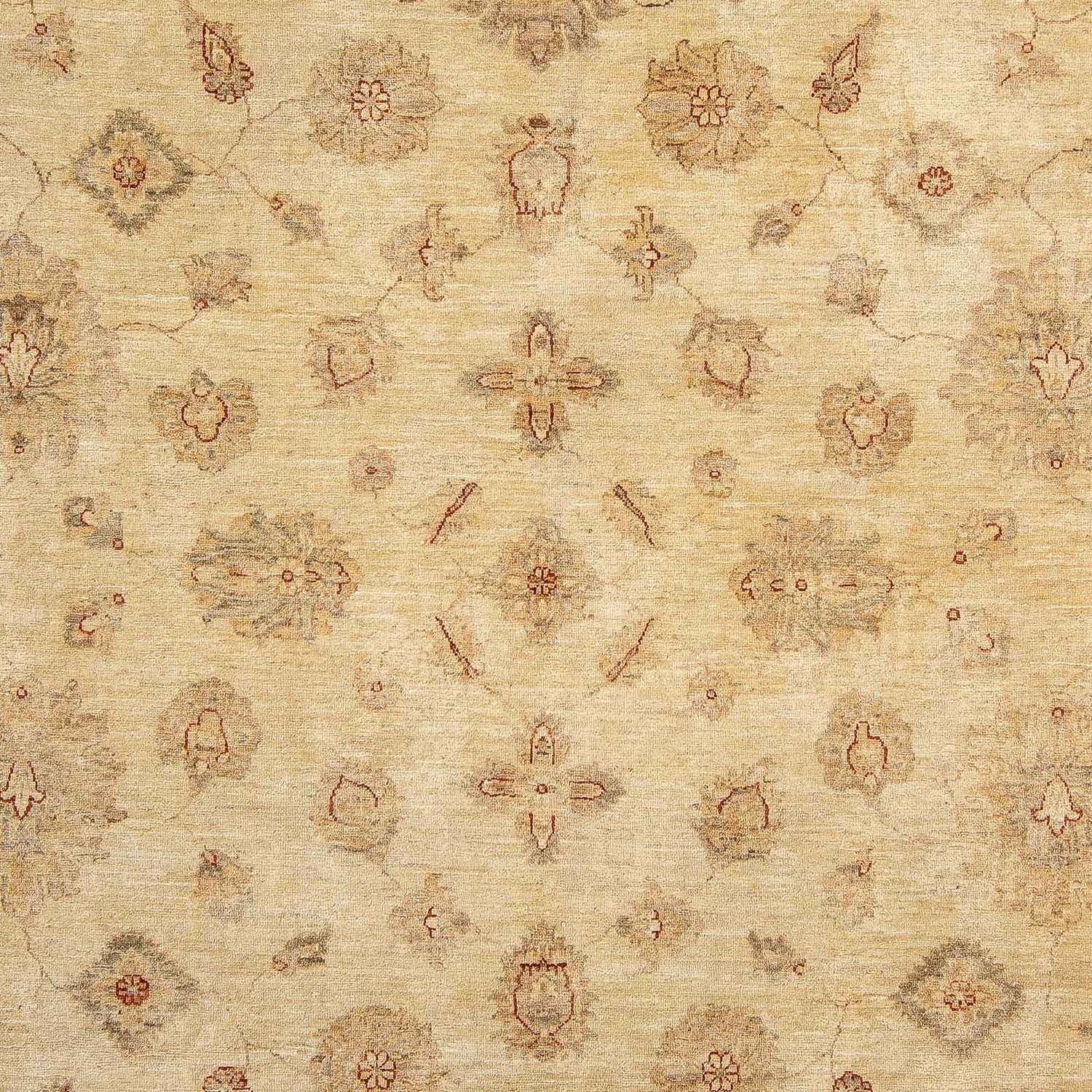 Ziegler Teppich 303 x 246 cm