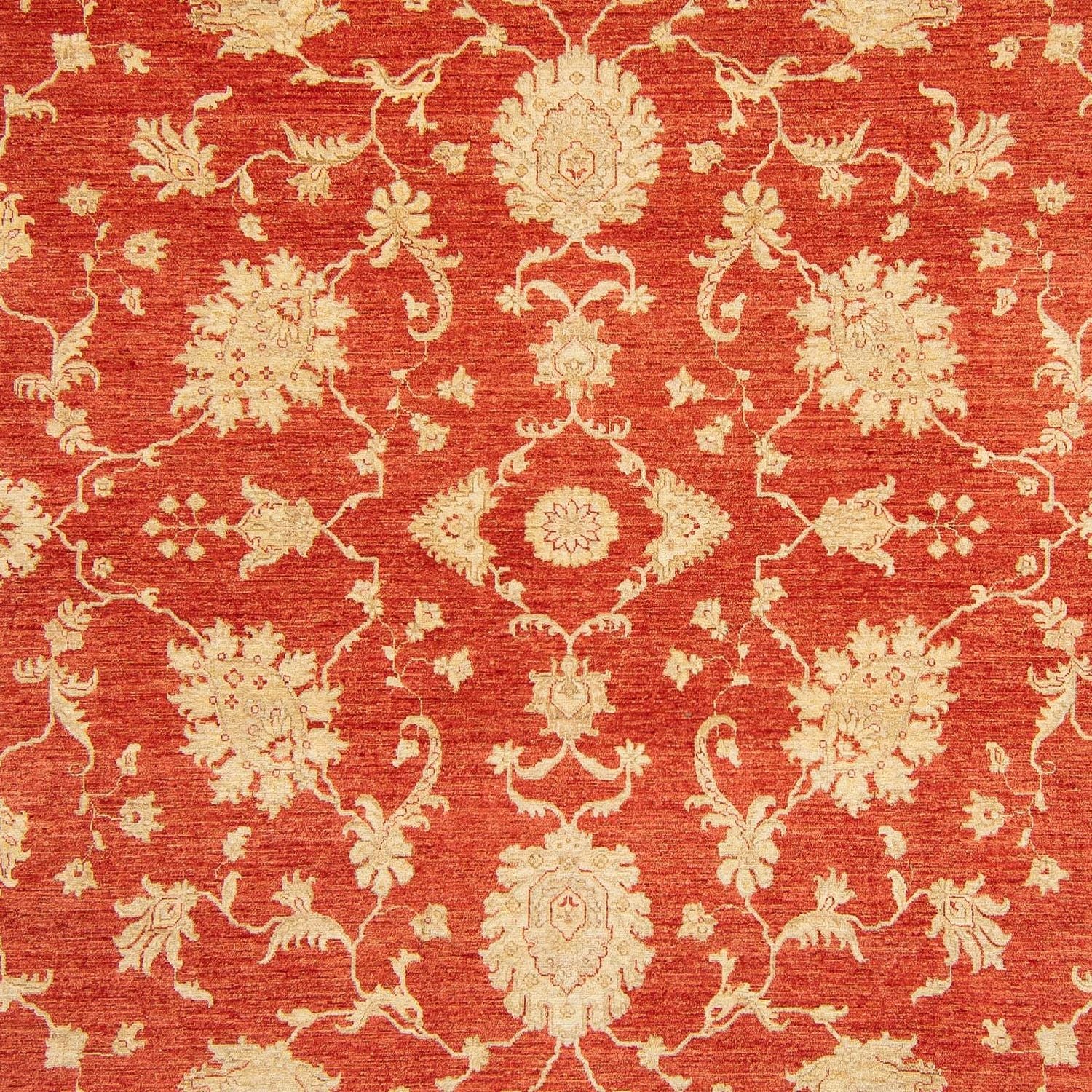 Ziegler Teppich - Kazak 363 x 276 cm