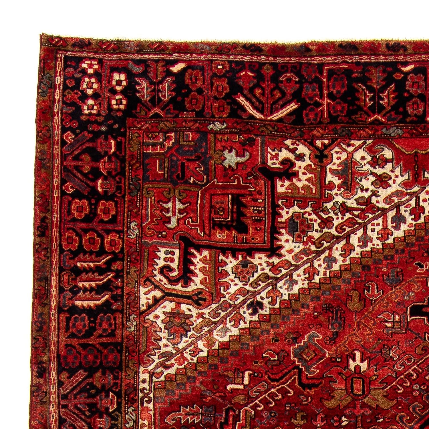 Perserteppich - Nomadic 387 x 307 cm