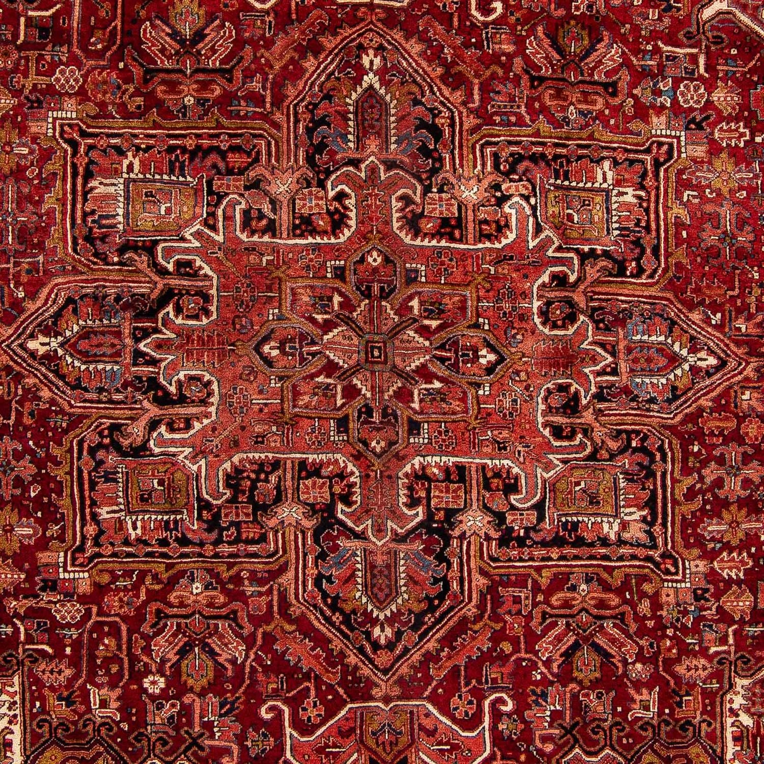 Perserteppich - Nomadic 368 x 272 cm