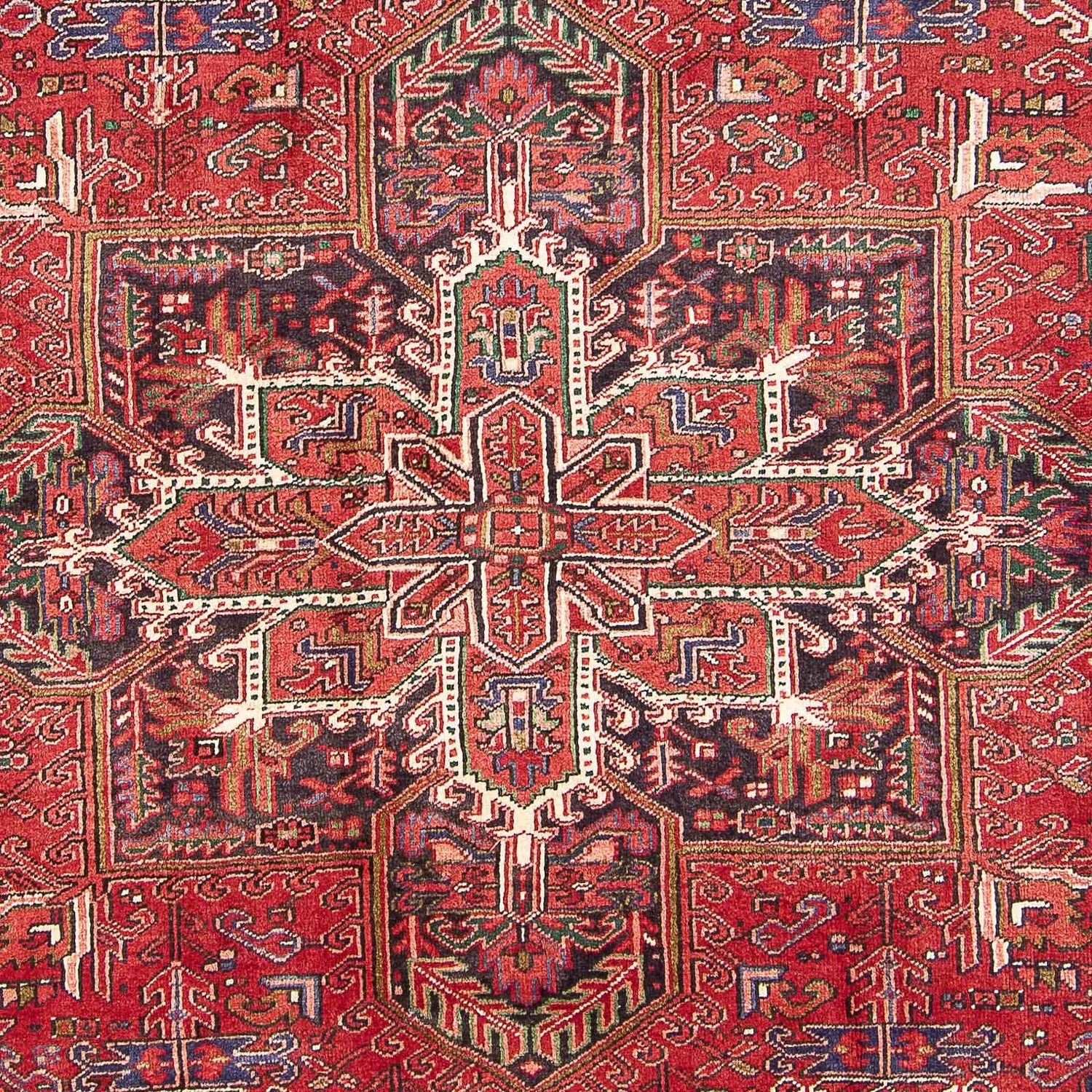 Perserteppich - Nomadic 350 x 251 cm