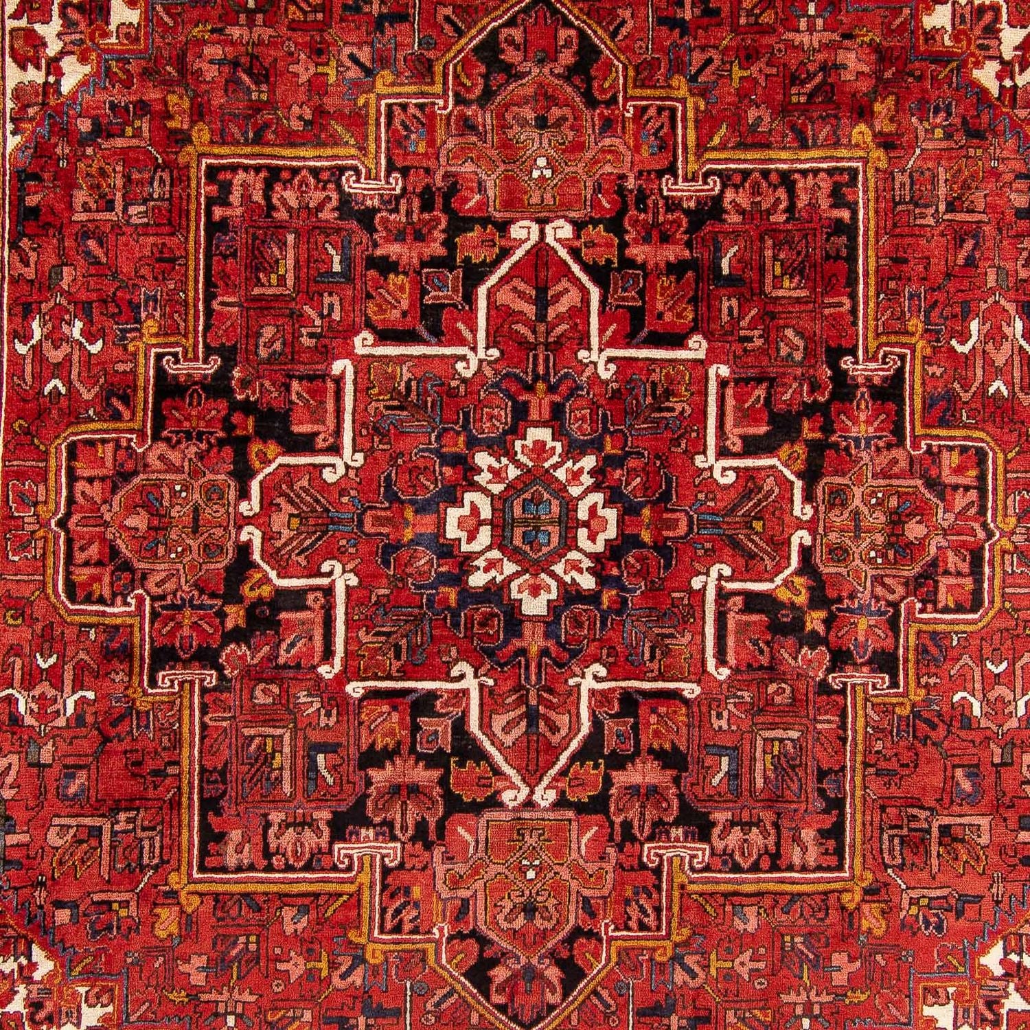 Perserteppich - Nomadic 391 x 286 cm