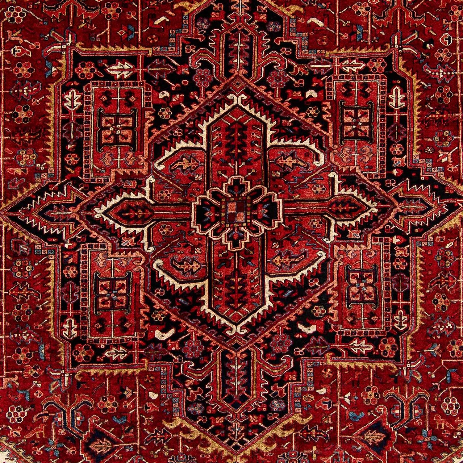 Perserteppich - Nomadic 393 x 304 cm