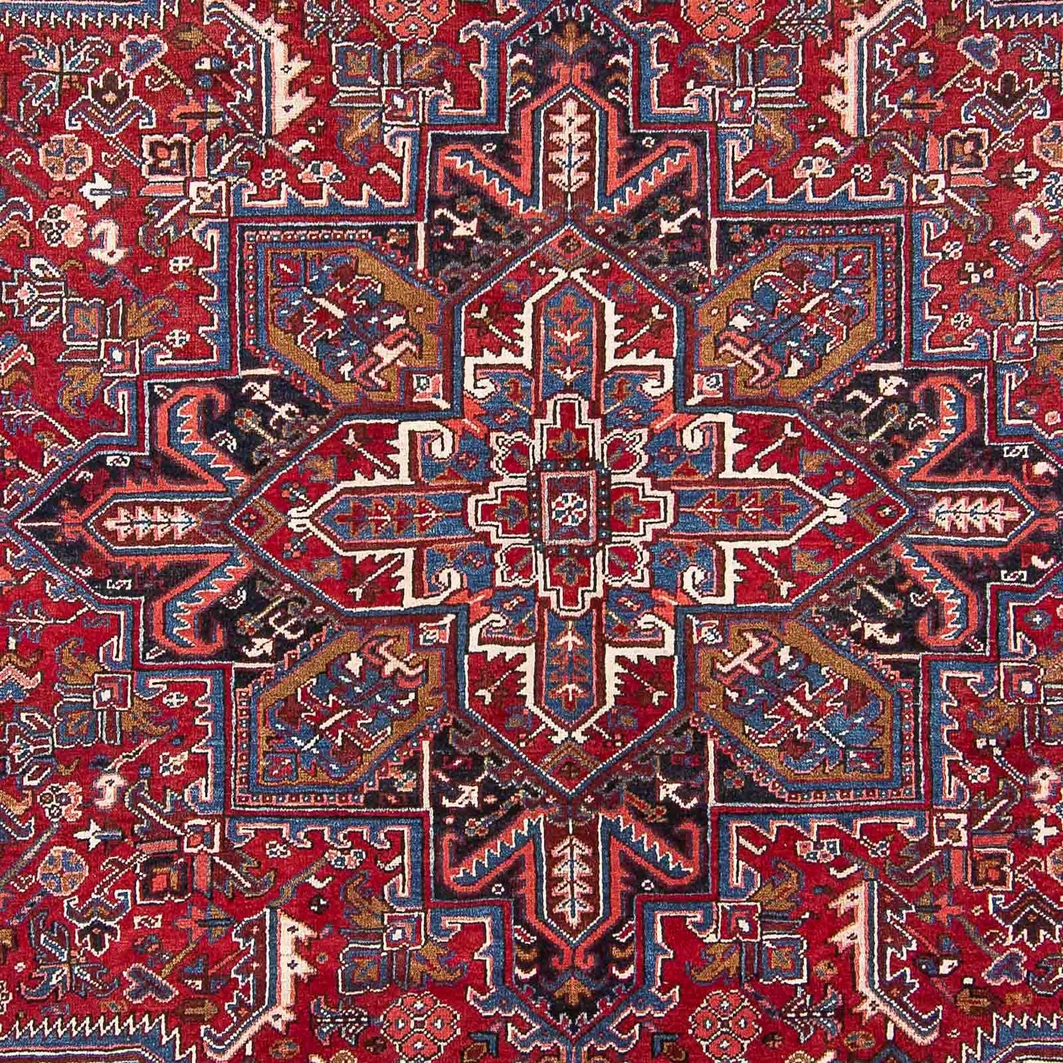 Perserteppich - Nomadic 313 x 250 cm