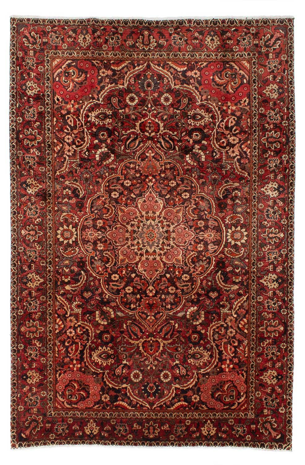 Perserteppich - Nomadic 353 x 259 cm