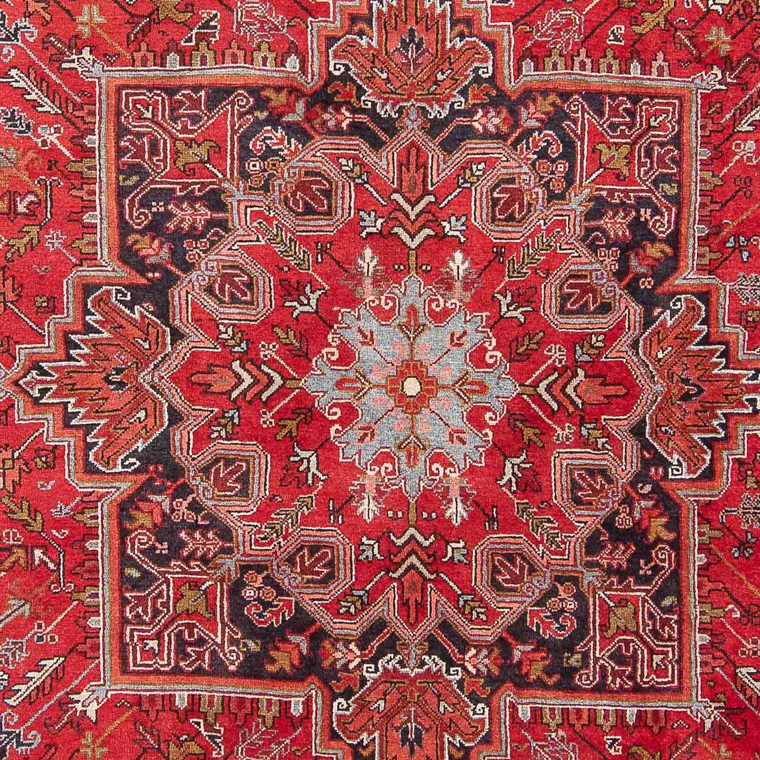 Perserteppich - Nomadic 331 x 248 cm