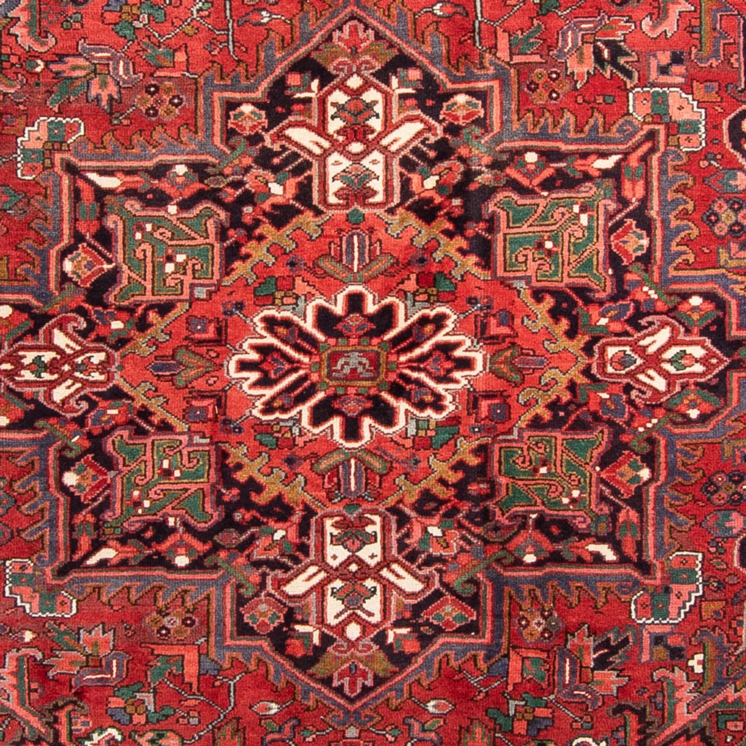 Perserteppich - Nomadic 343 x 233 cm