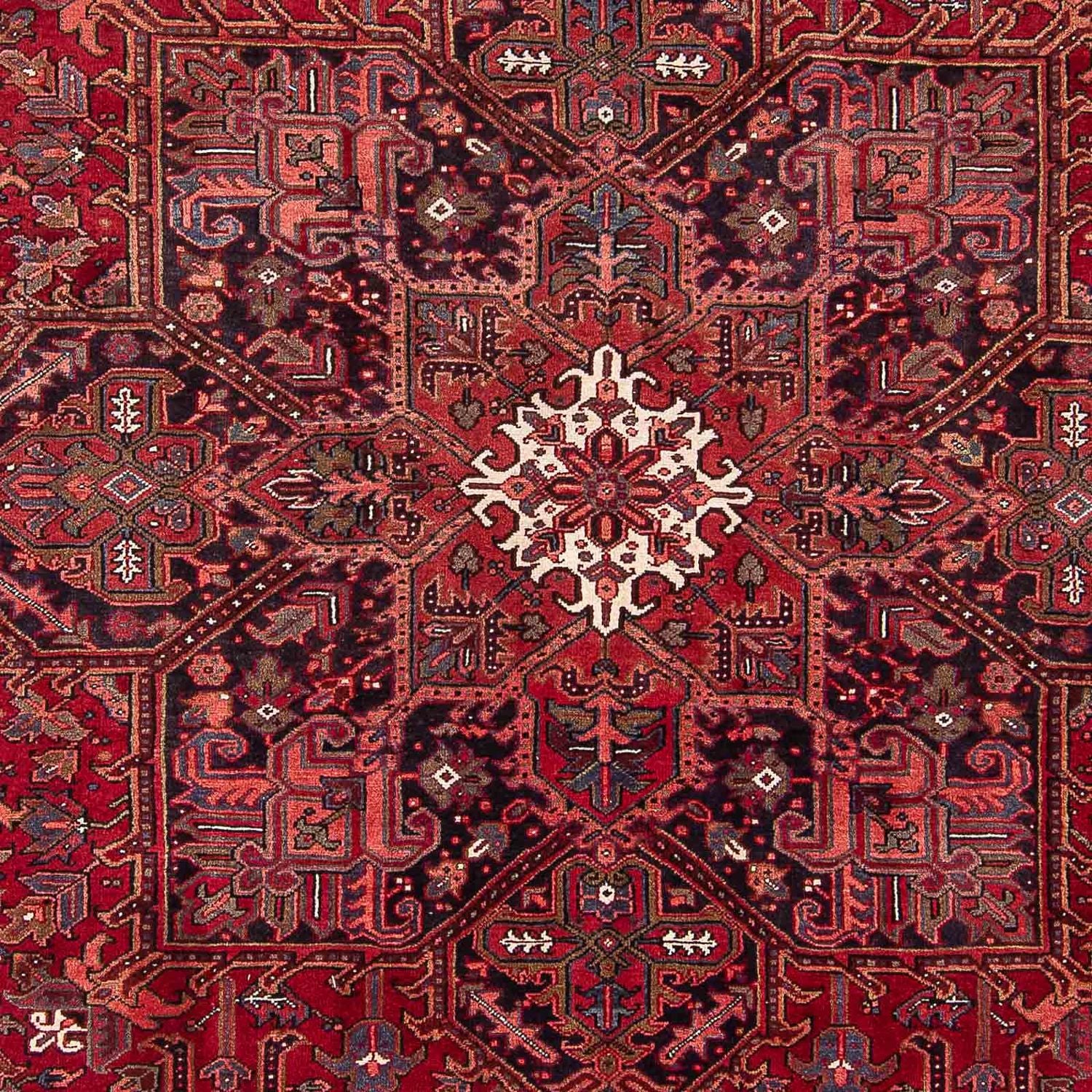 Perserteppich - Nomadic 346 x 255 cm