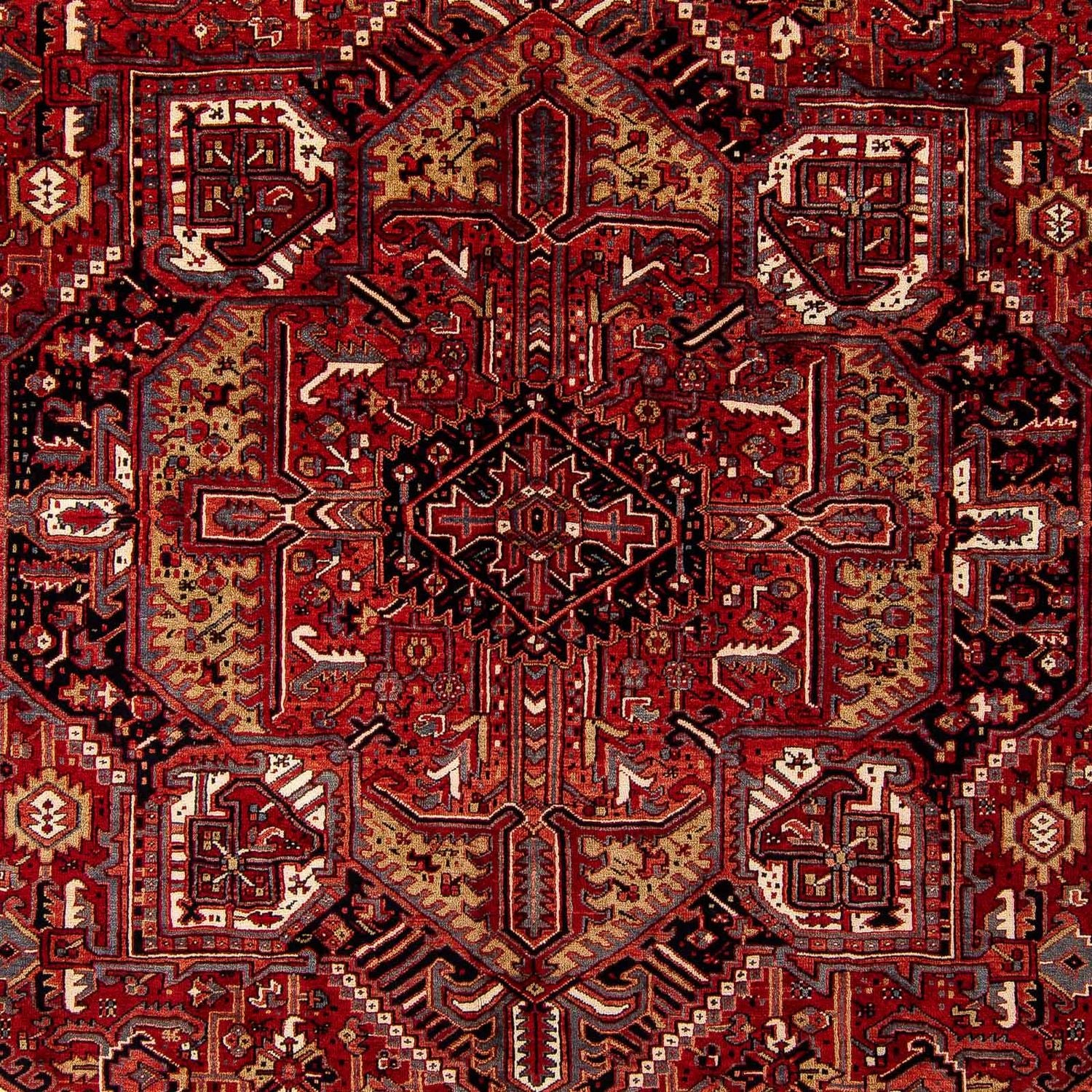 Perserteppich - Nomadic 410 x 306 cm