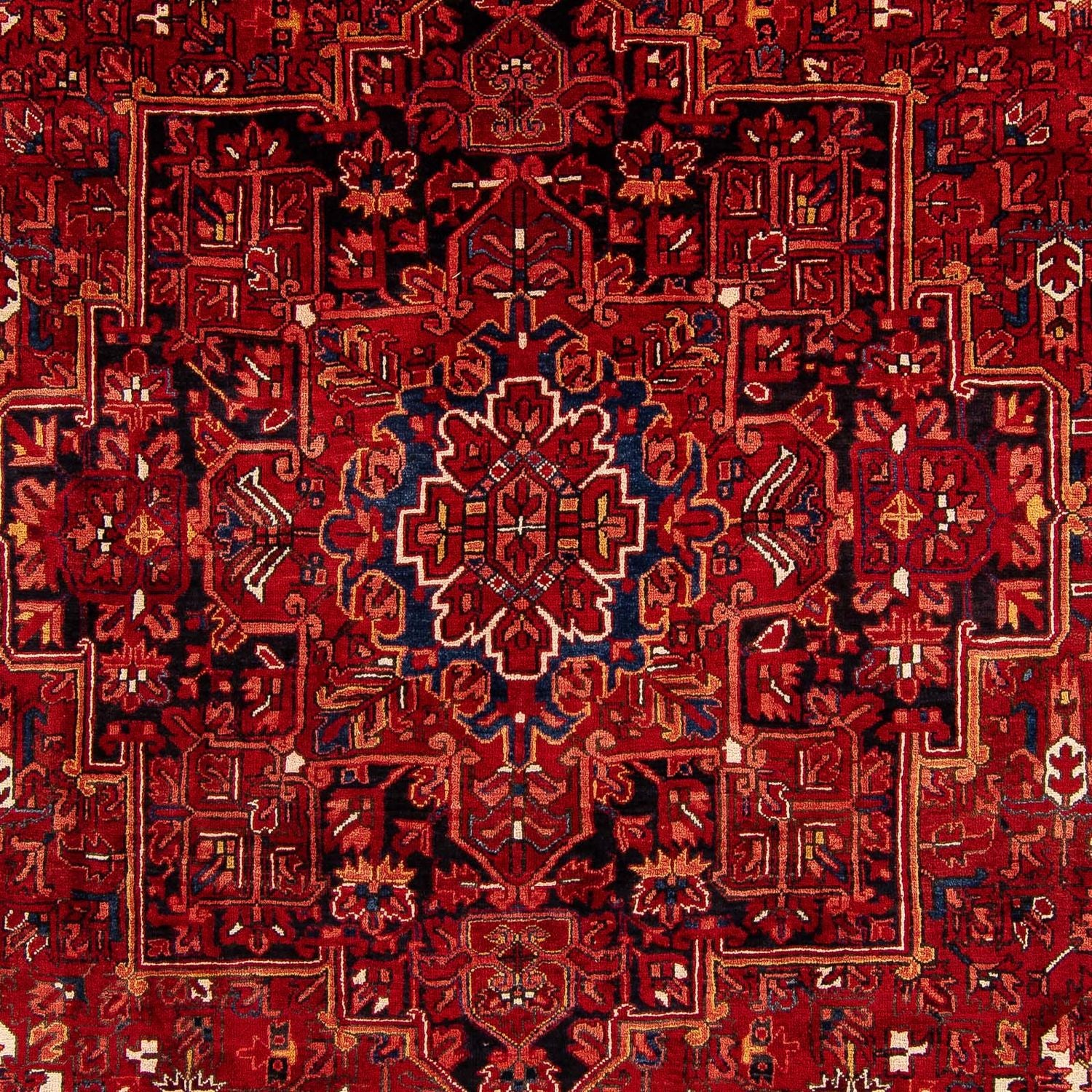Perserteppich - Nomadic 391 x 304 cm