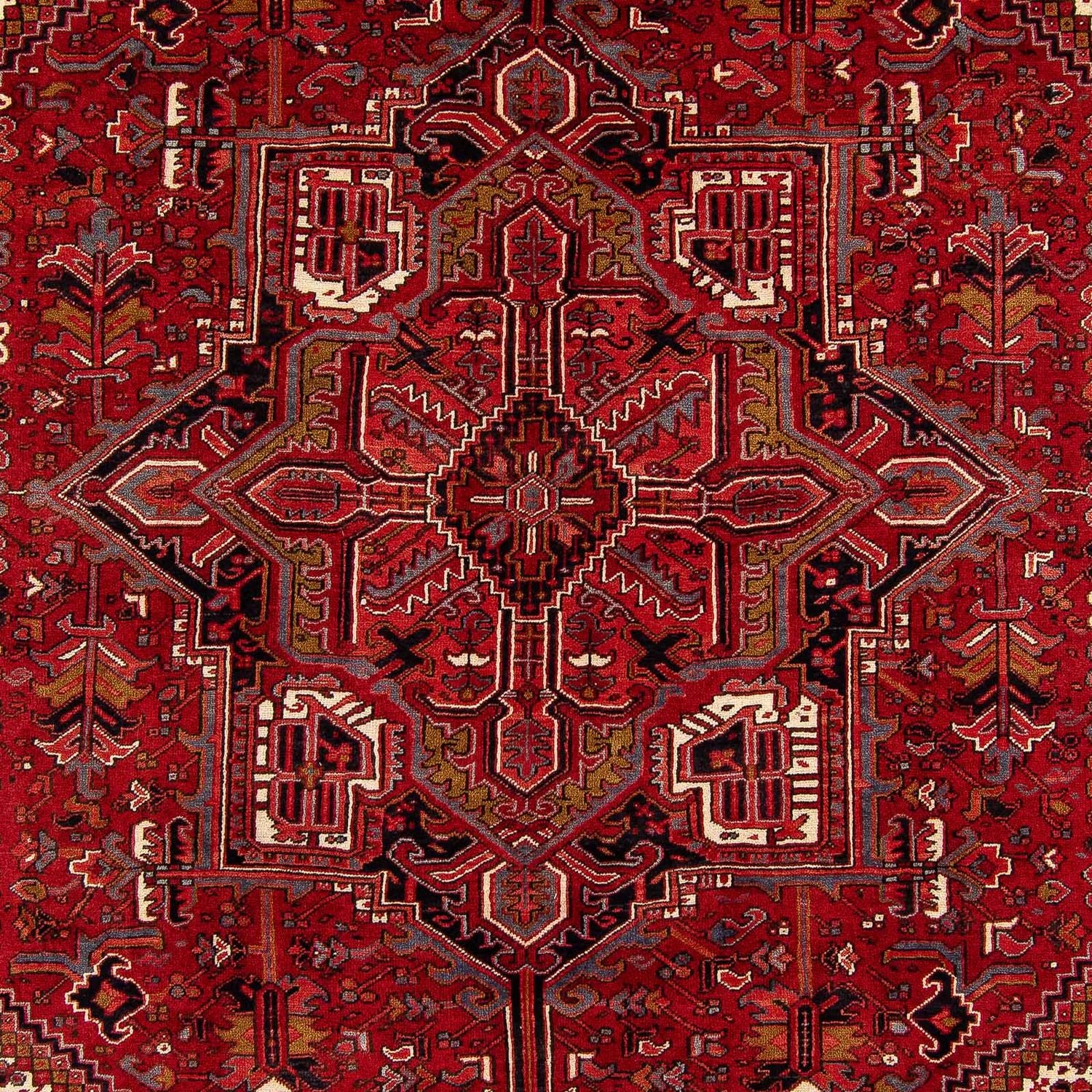 Perserteppich - Nomadic 398 x 298 cm