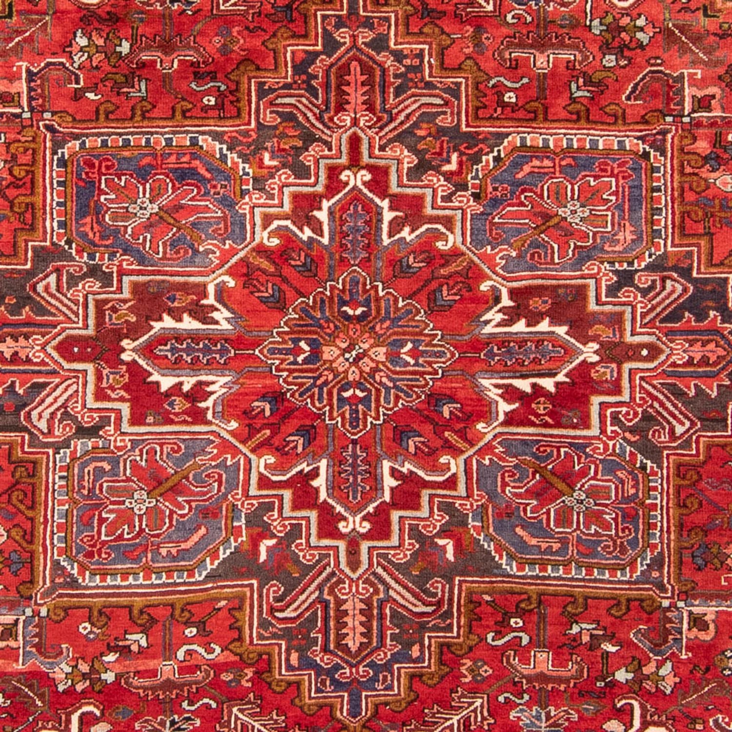Perserteppich - Nomadic 345 x 260 cm