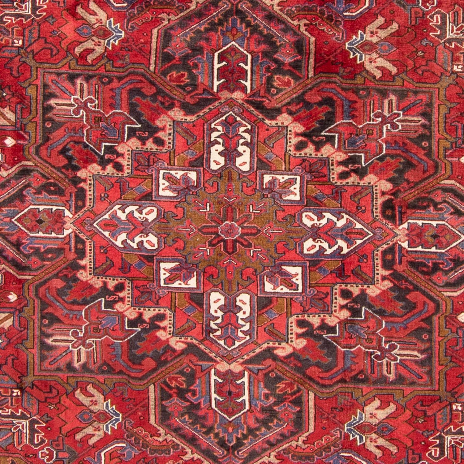 Perserteppich - Nomadic 326 x 247 cm