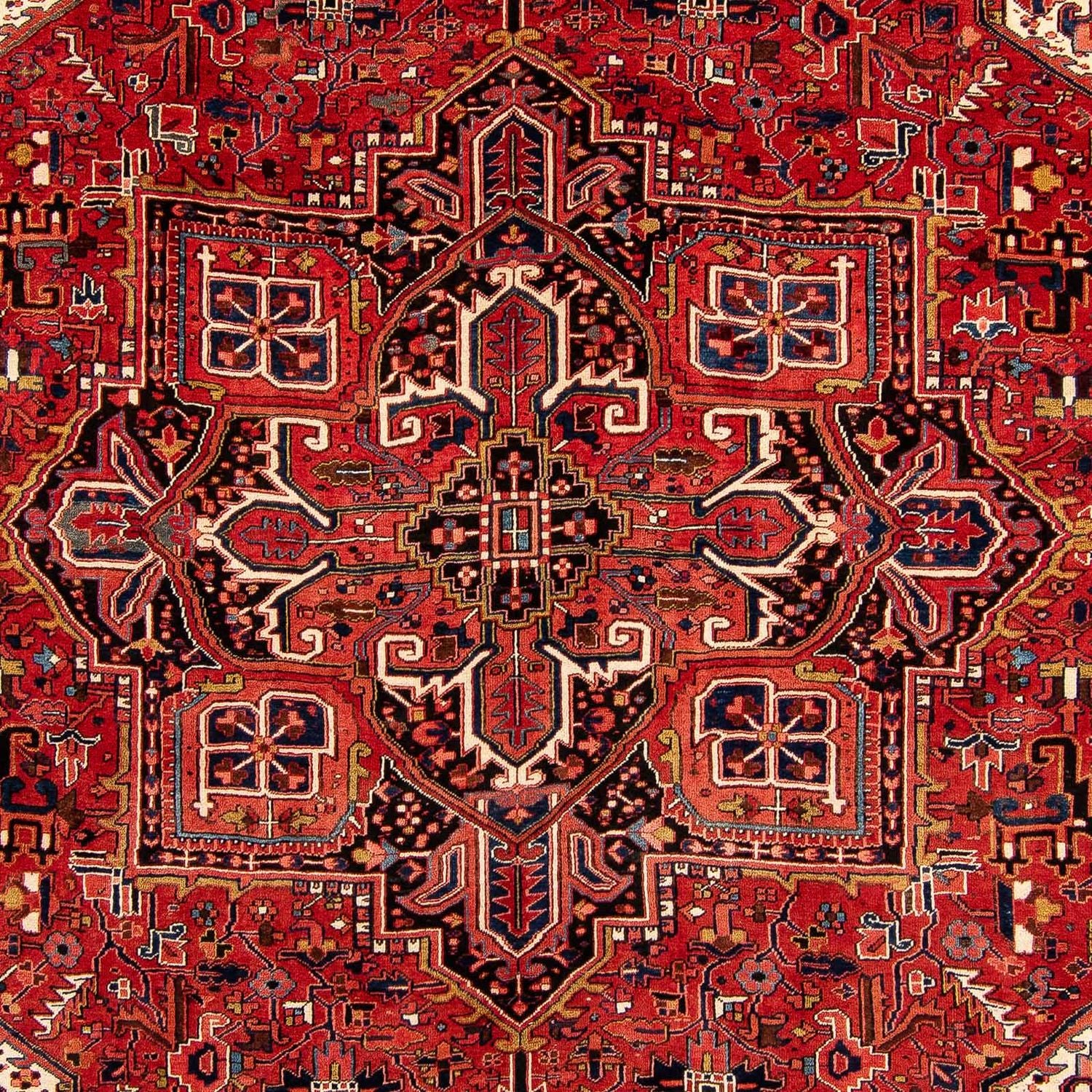 Perserteppich - Nomadic 382 x 286 cm